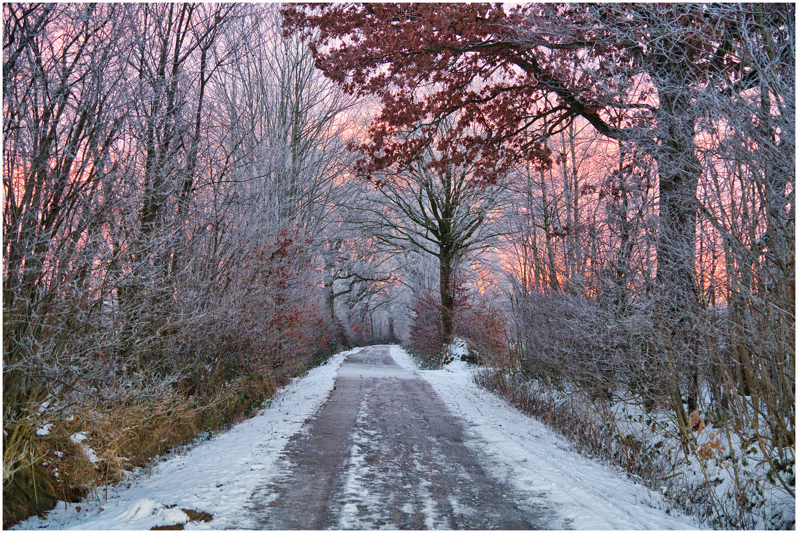 der Weg ins Moor