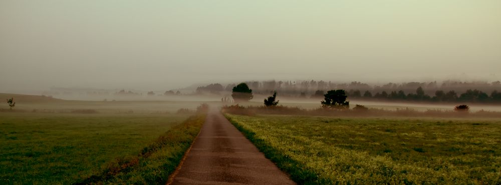 Der Weg ins Nebelland