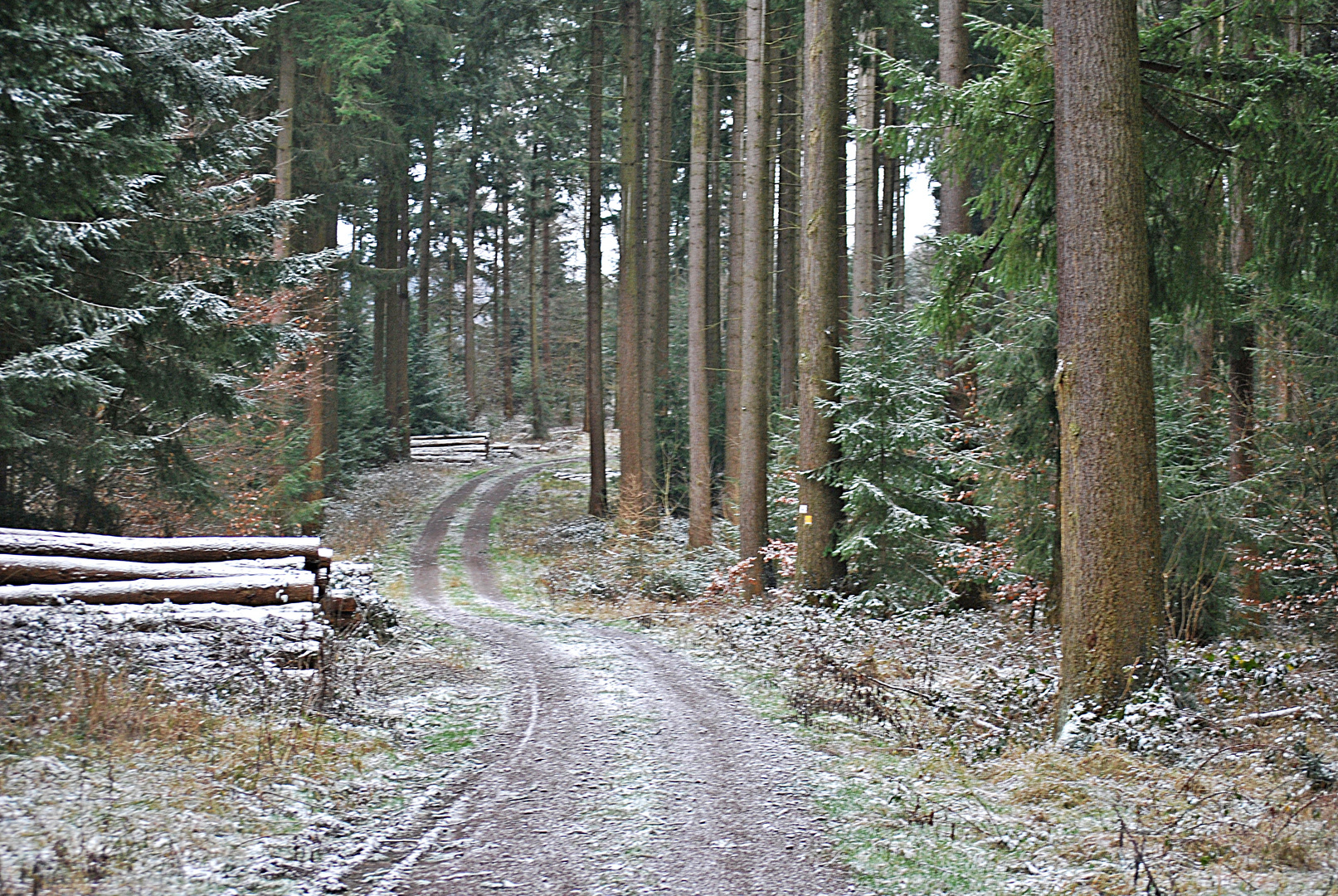 der Weg ins neue Jahr...