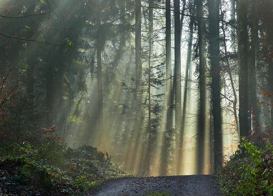 Der Weg ins Neue Jahr