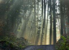 Der Weg ins Neue Jahr