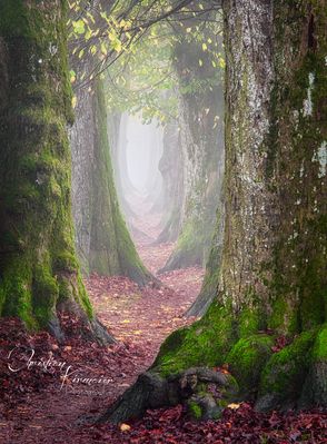 Der Weg ins Nichts...