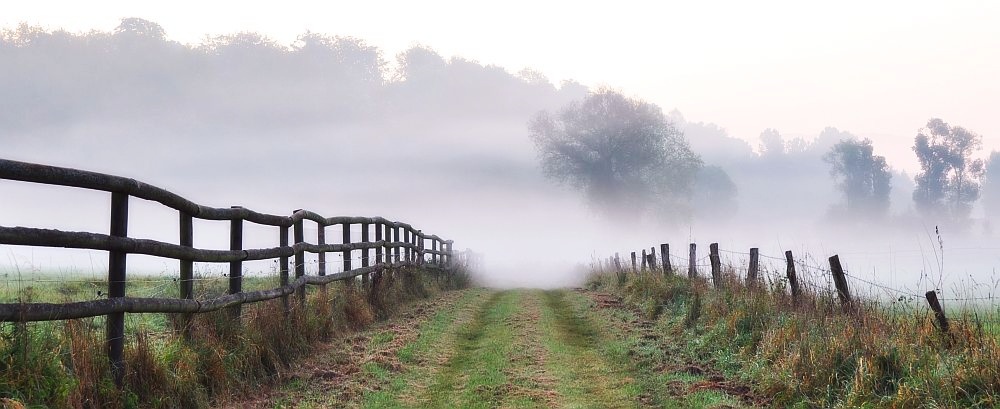 Der Weg ins Nichts