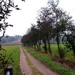 Der Weg ins Nichts