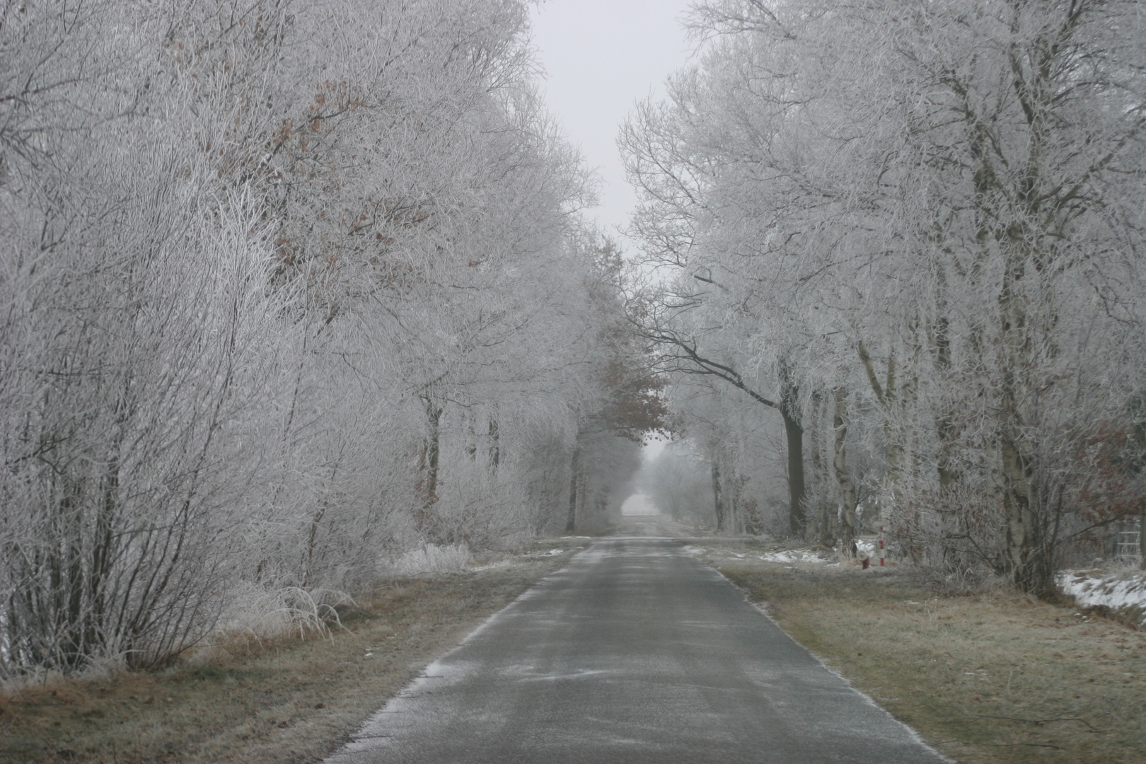 der Weg ins Nirgendwo