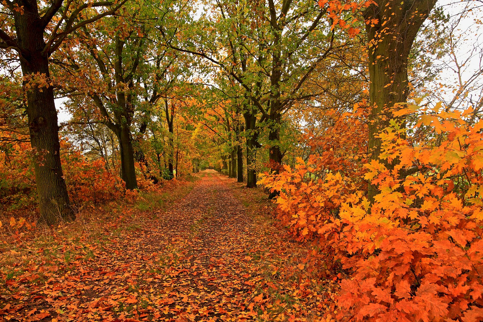 ...der Weg  ins Nirgendwo...