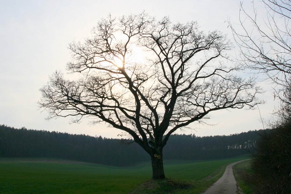 Der Weg ins Nirgendwo