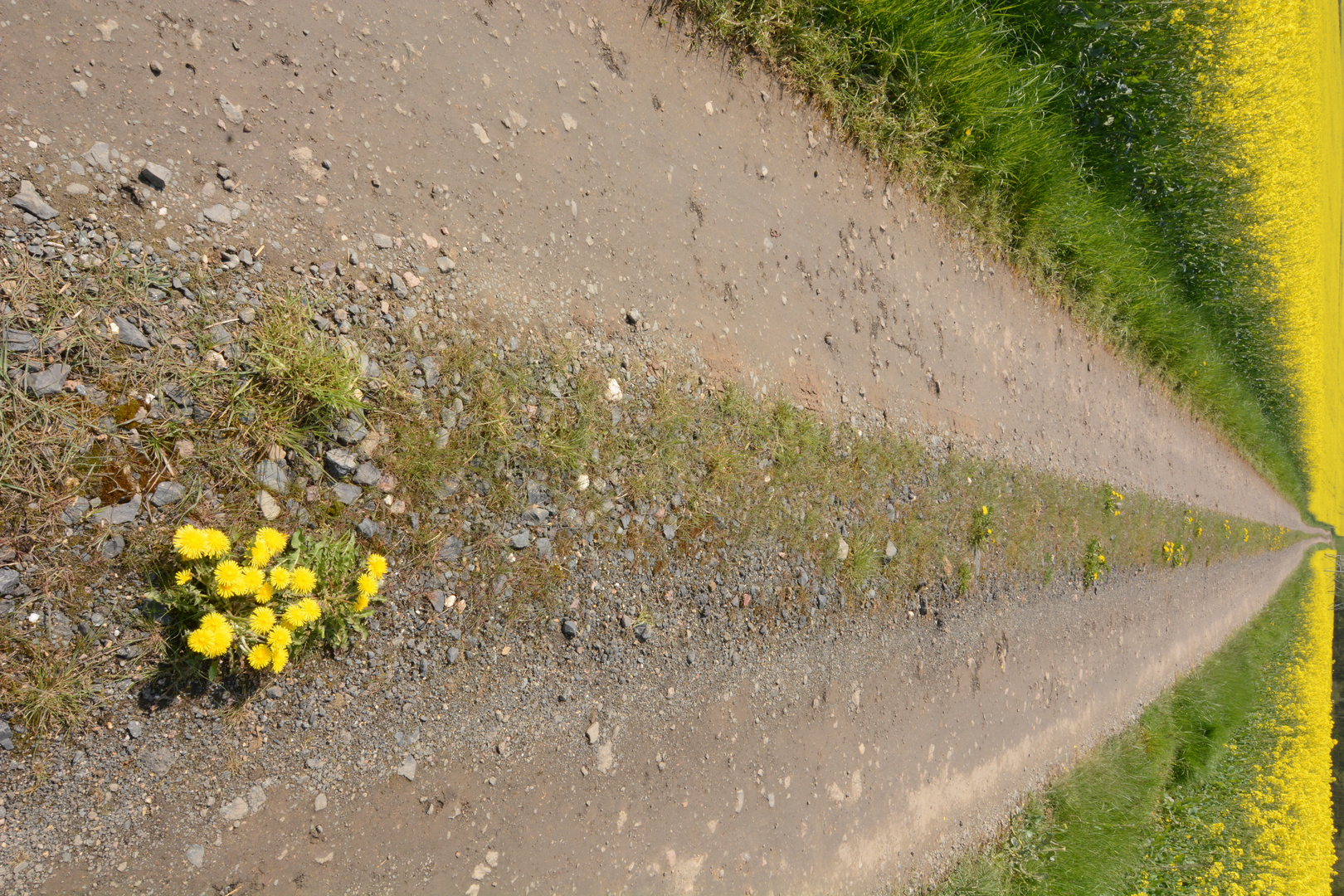 Der Weg ins Nirgenswo