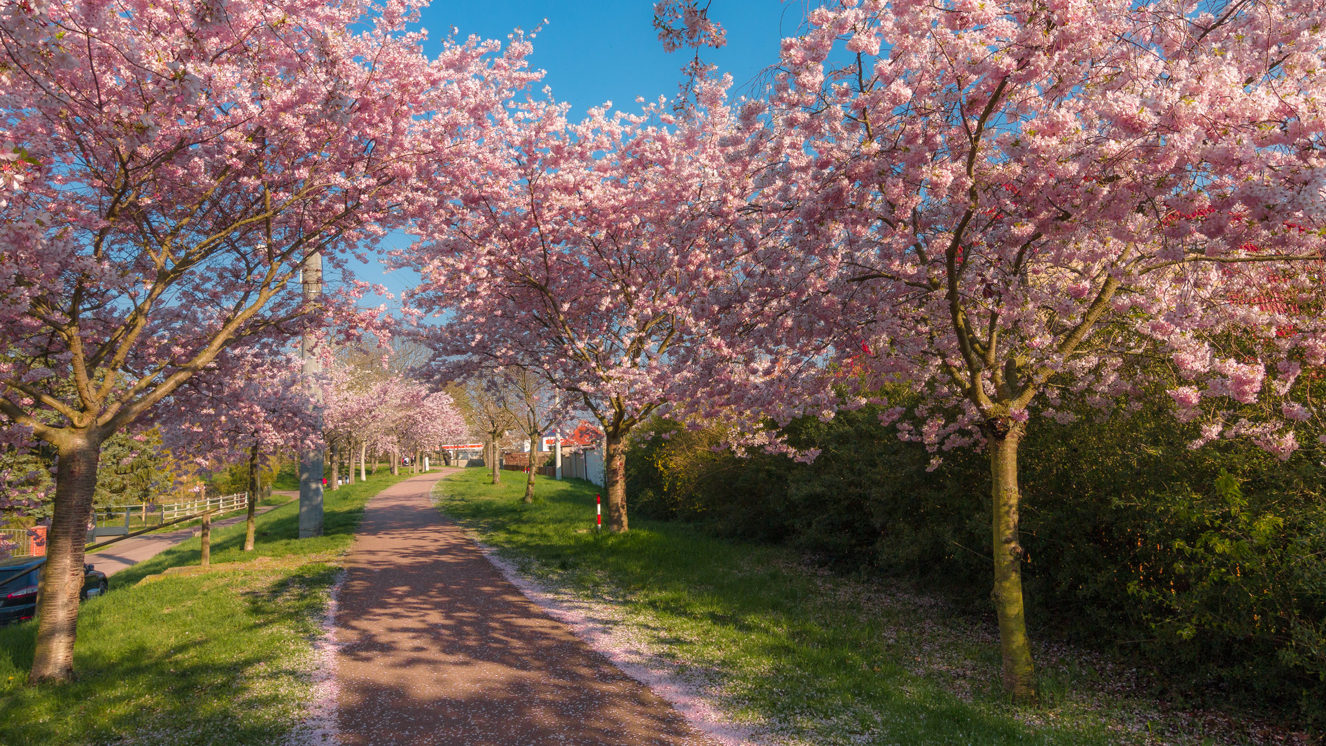 "Der Weg ins Paradies"