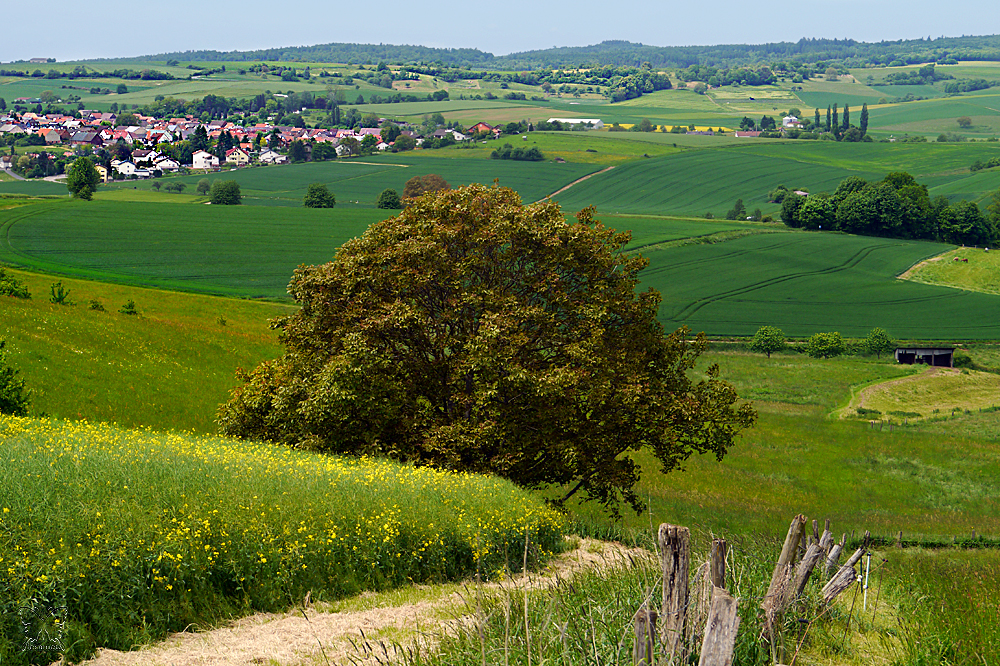 ~ der Weg ins Tal ~