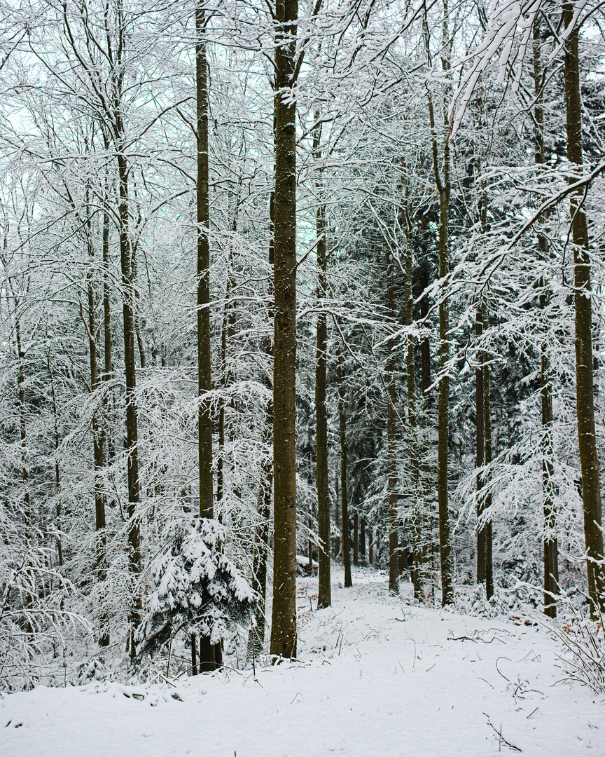 Der Weg ins Tal