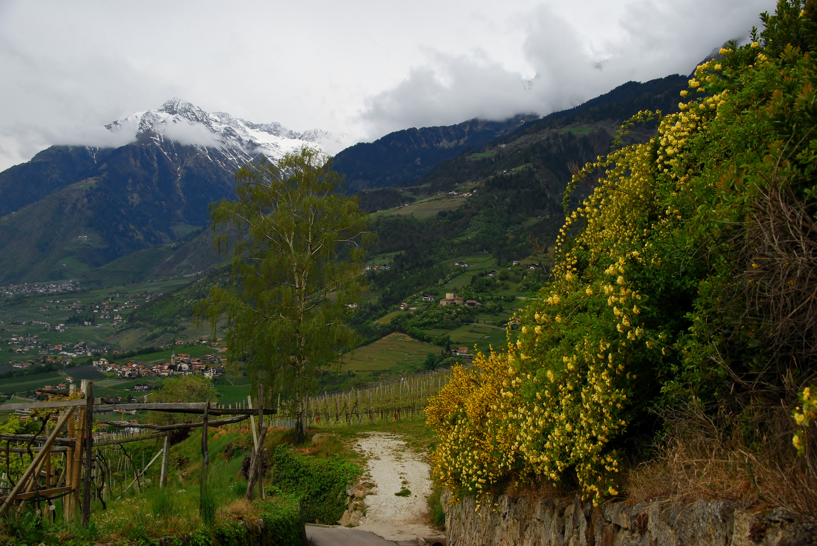 der Weg ins Tal