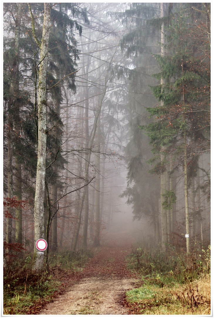 der Weg ins Unbekannte....