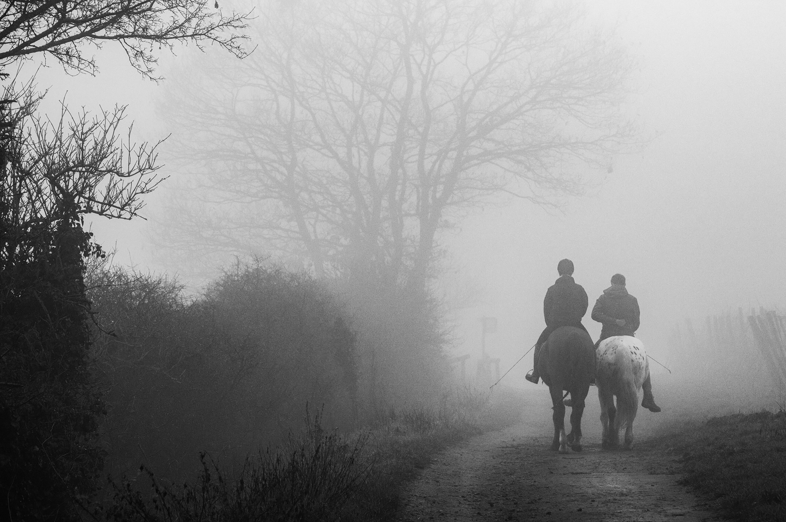 Der Weg ins Unbekannte