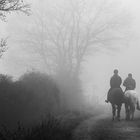 Der Weg ins Unbekannte