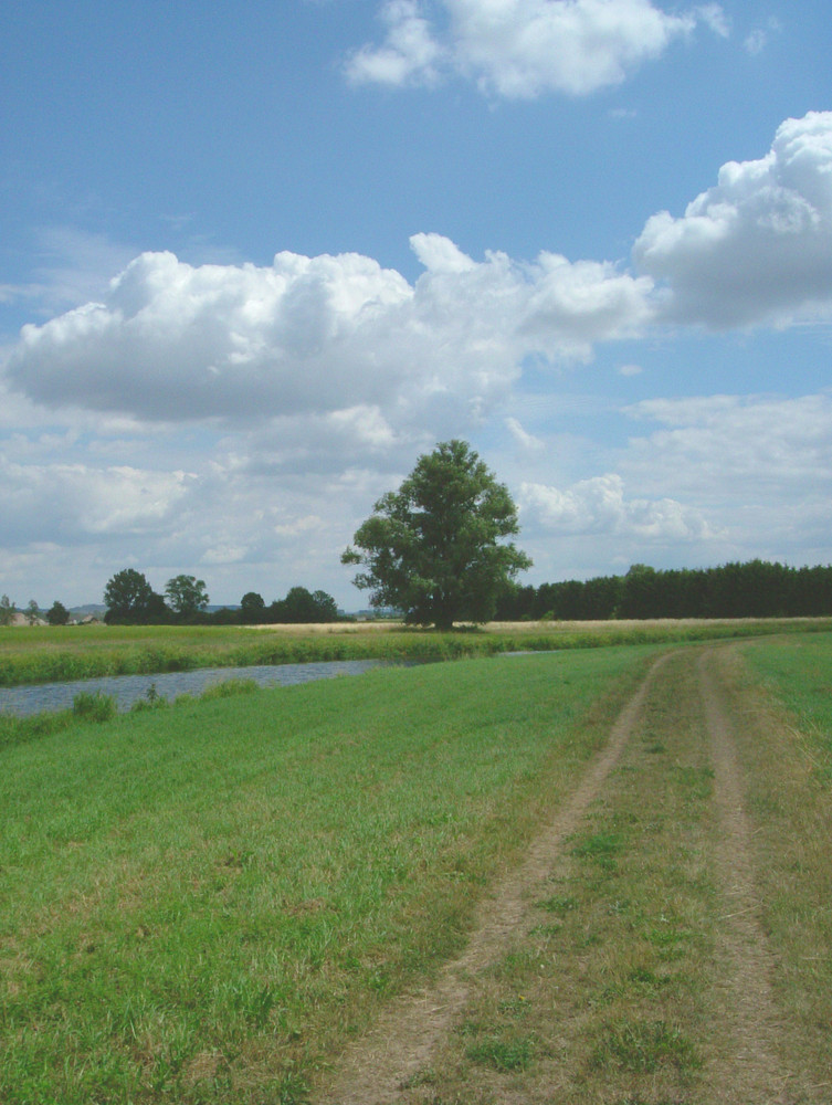 Der Weg ins Unendliche