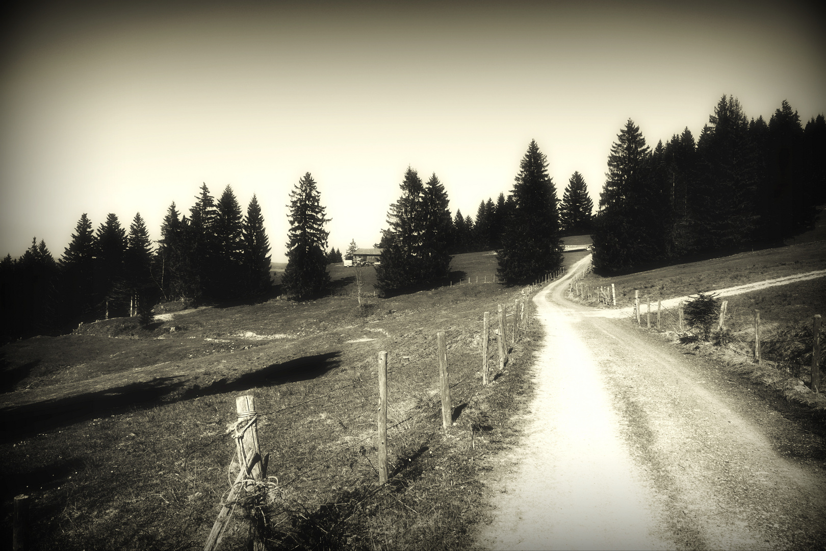 Der Weg ins ungewisse