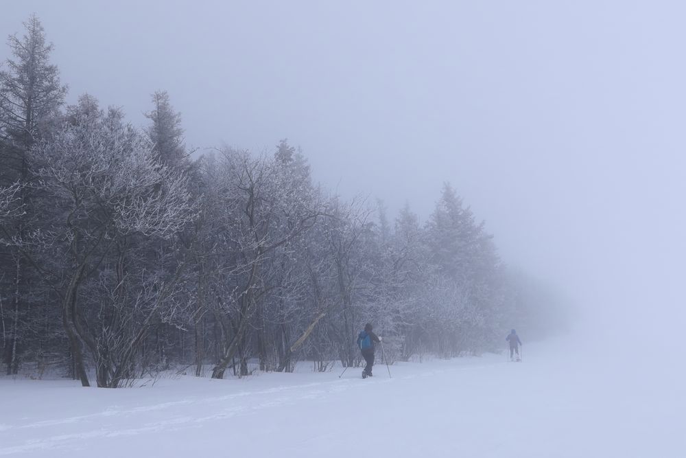 Der Weg ins Ungewisse  