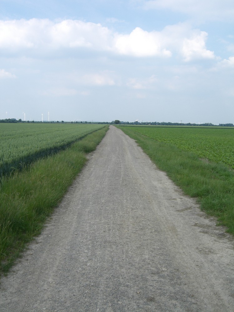 Der Weg ins Ungewisse