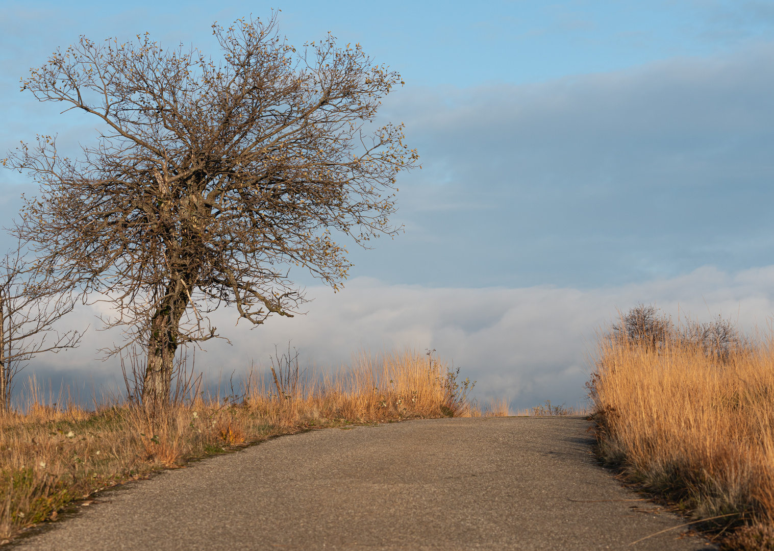 Der Weg ins Ungewisse