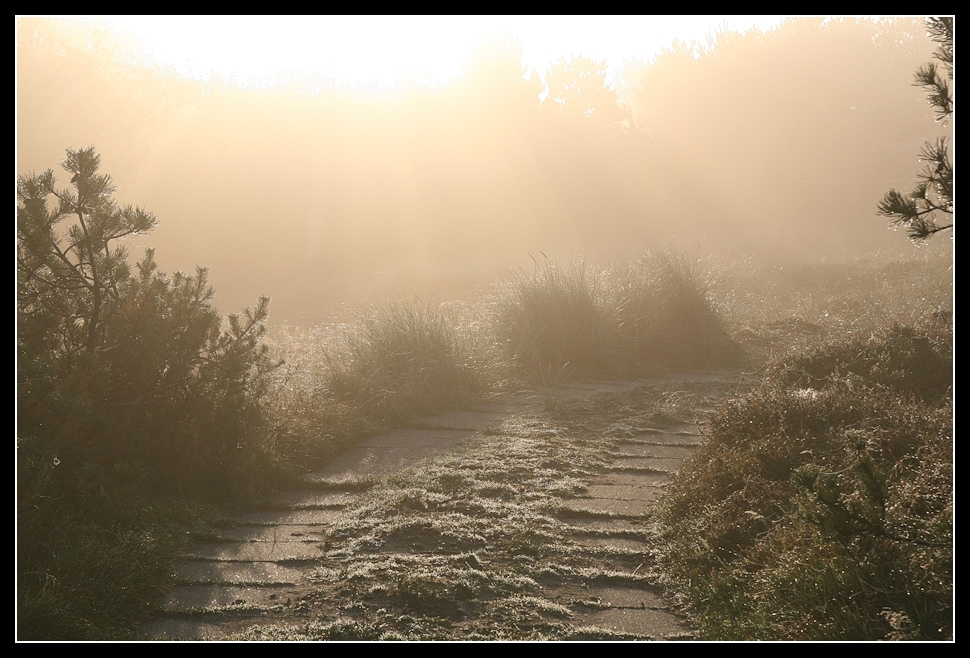 Der Weg ins Ungewisse