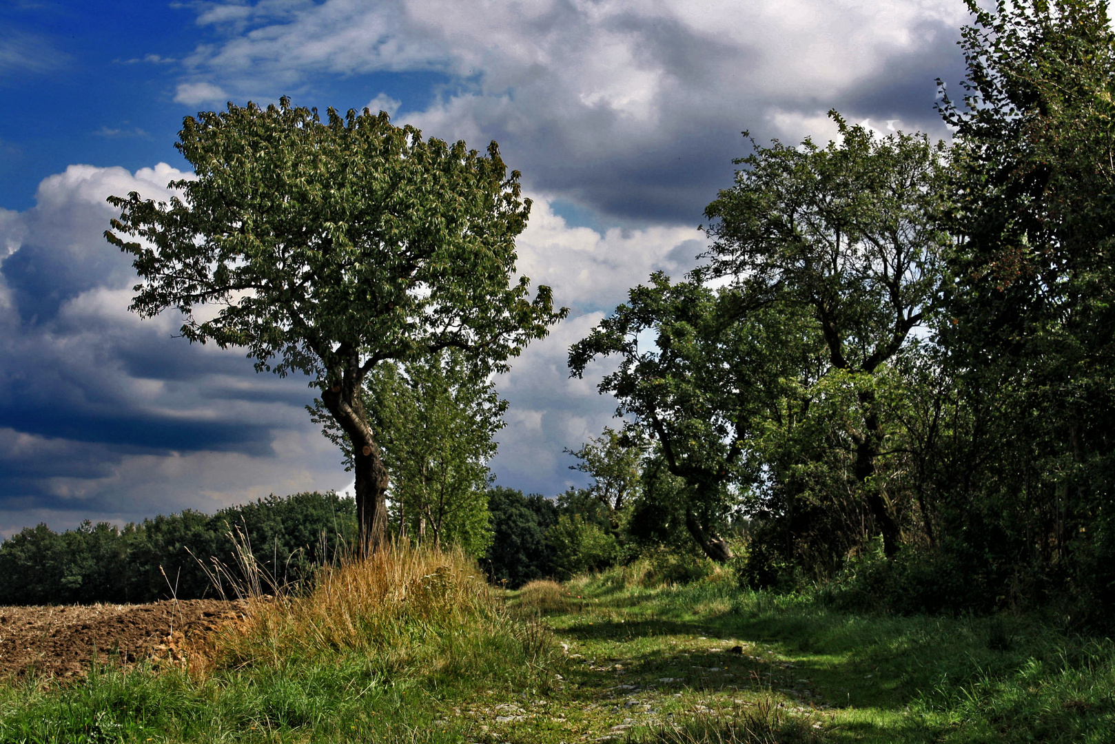 der weg ins ungewisse