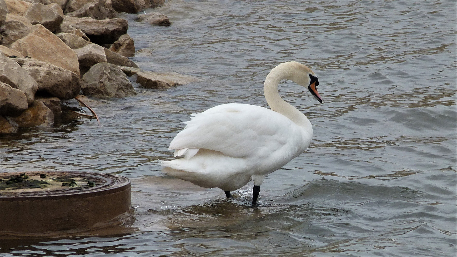 Der Weg ins Wasser