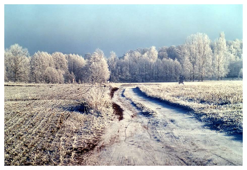 Der Weg ins Weiße