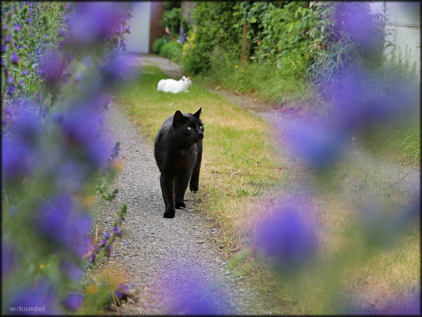 der Weg ist bunt