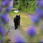 der Weg ist bunt