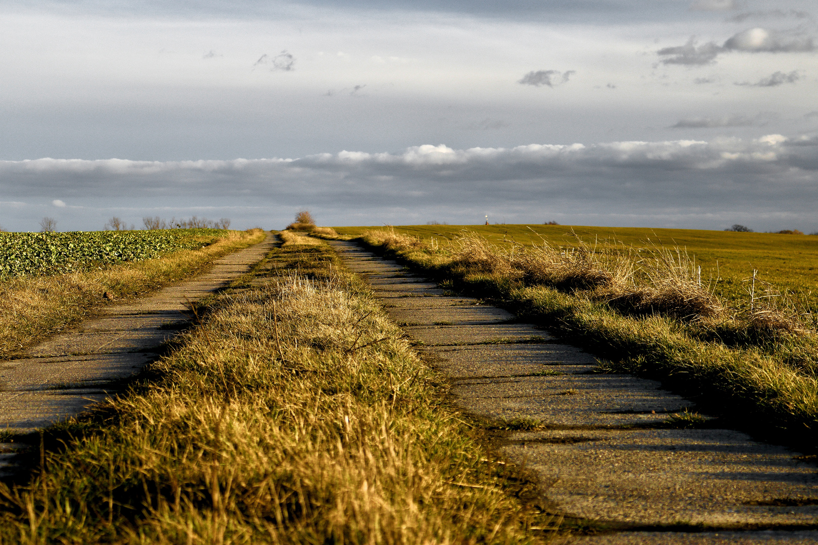 Der Weg ist das .... Motiv