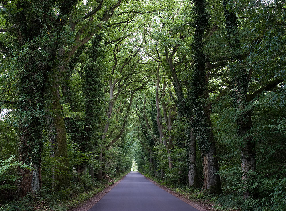 ...der Weg ist das Ziel ...