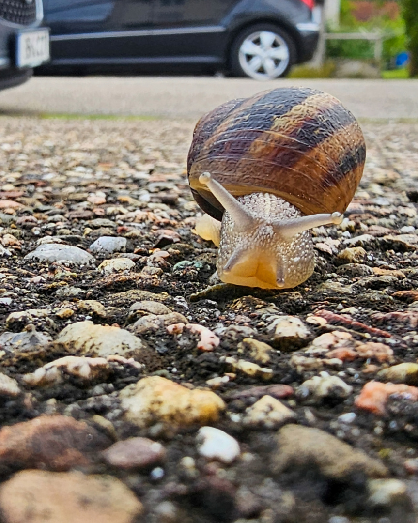 Der Weg ist das Ziel 