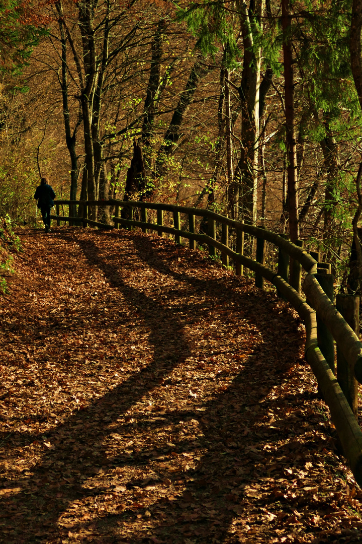 Der Weg ist das Ziel