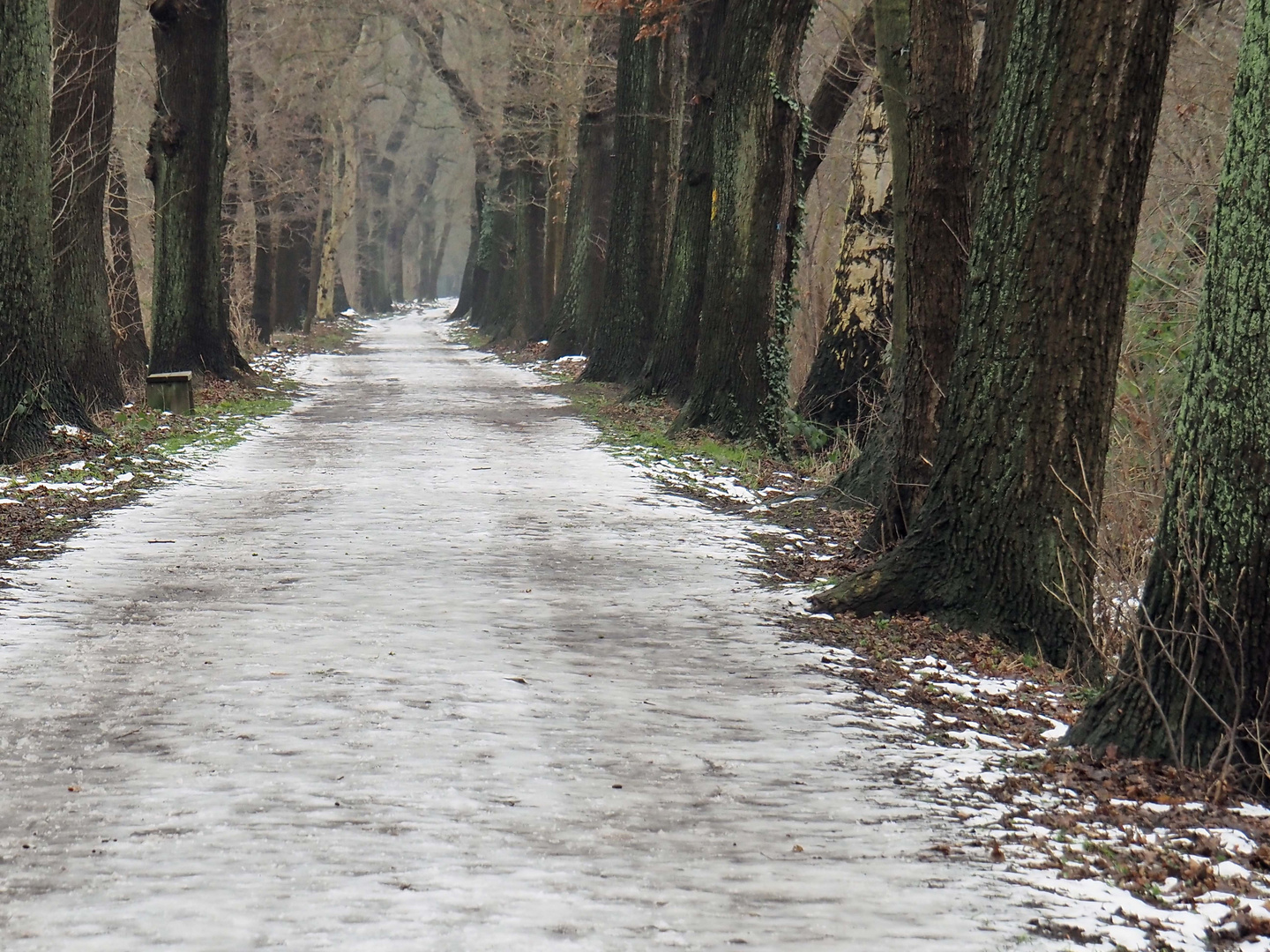 der Weg ist das Ziel