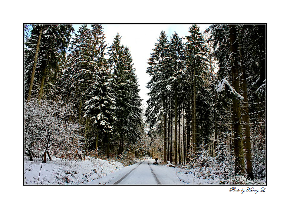 Der Weg ist das Ziel