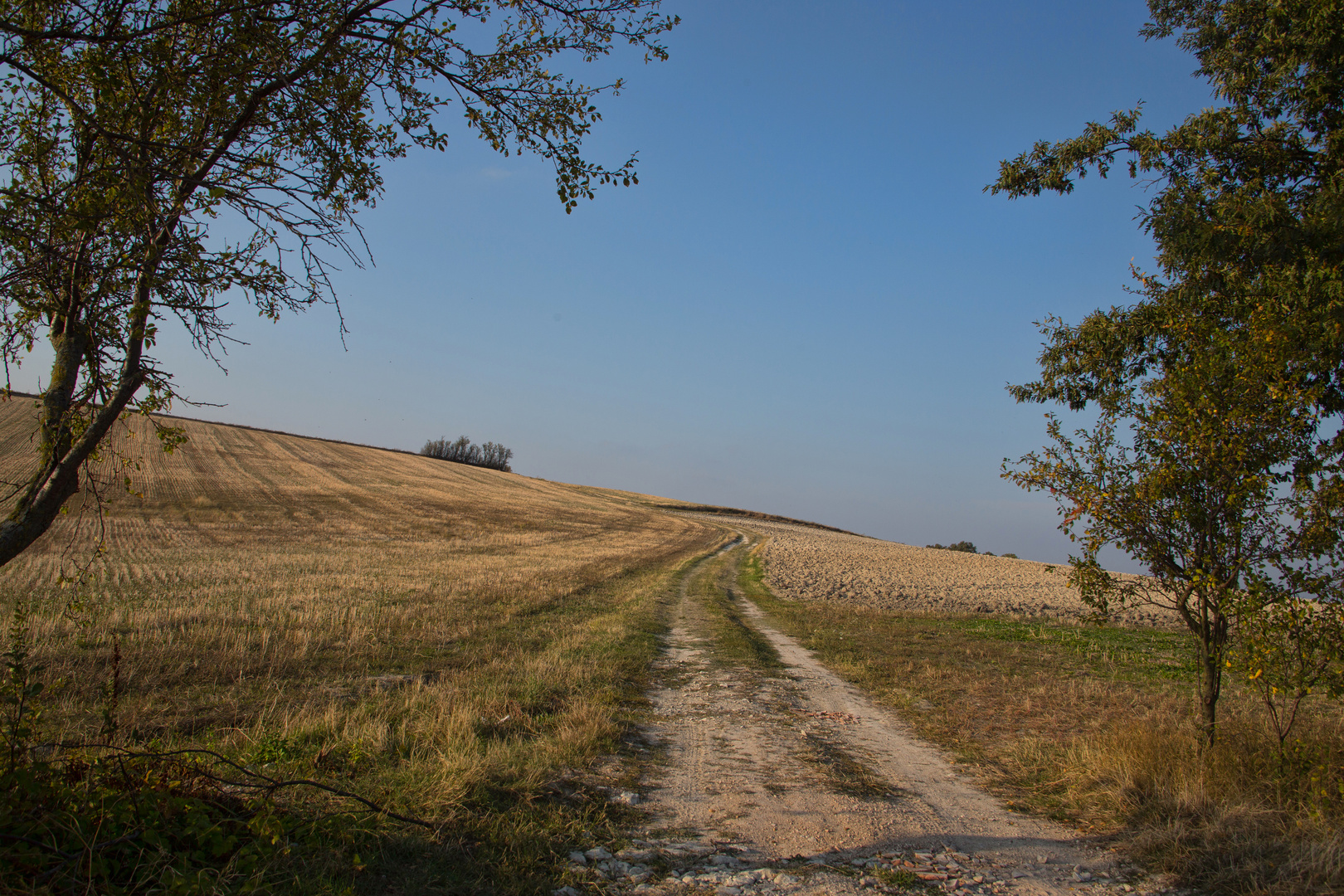 Der Weg ist das Ziel...