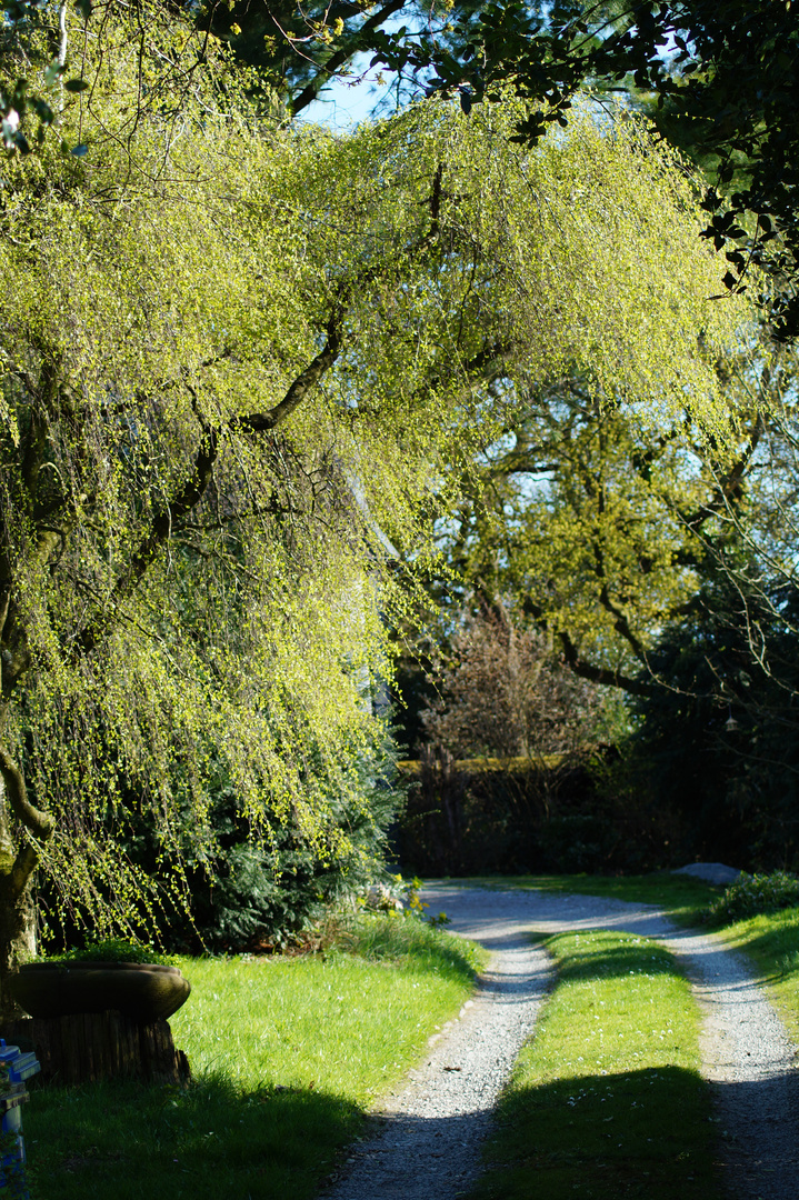 Der Weg ist das Ziel 1.0