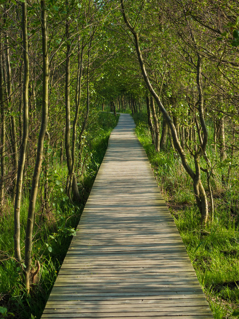 Der Weg ist das Ziel