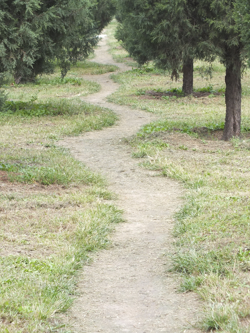 Der Weg ist das Ziel