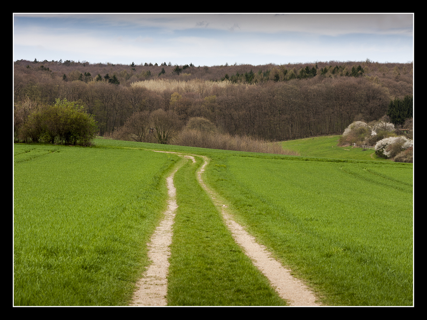 Der Weg ist das Ziel ...