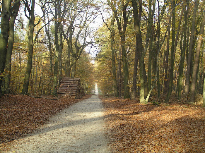 Der Weg ist das Ziel