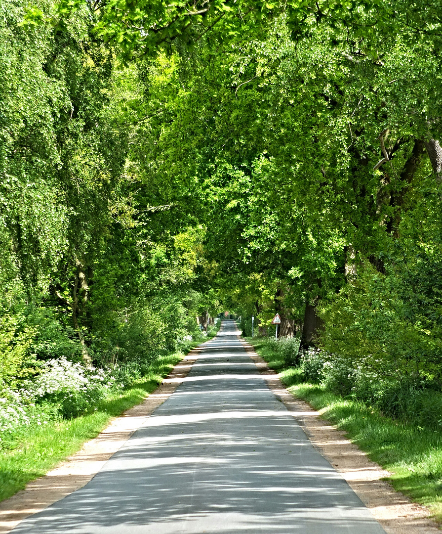 Der Weg ist das Ziel