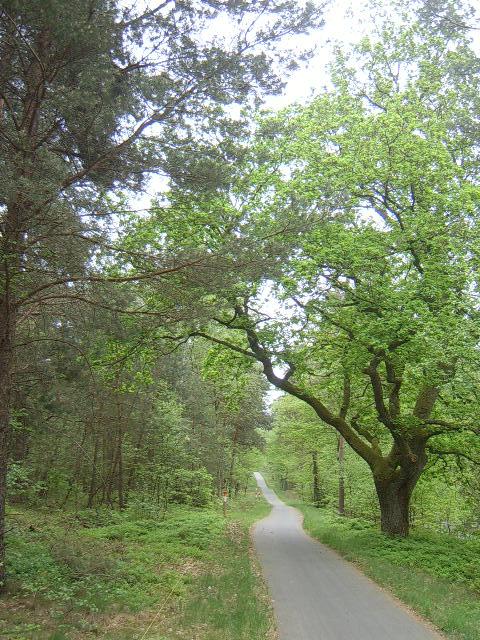 Der Weg ist das Ziel