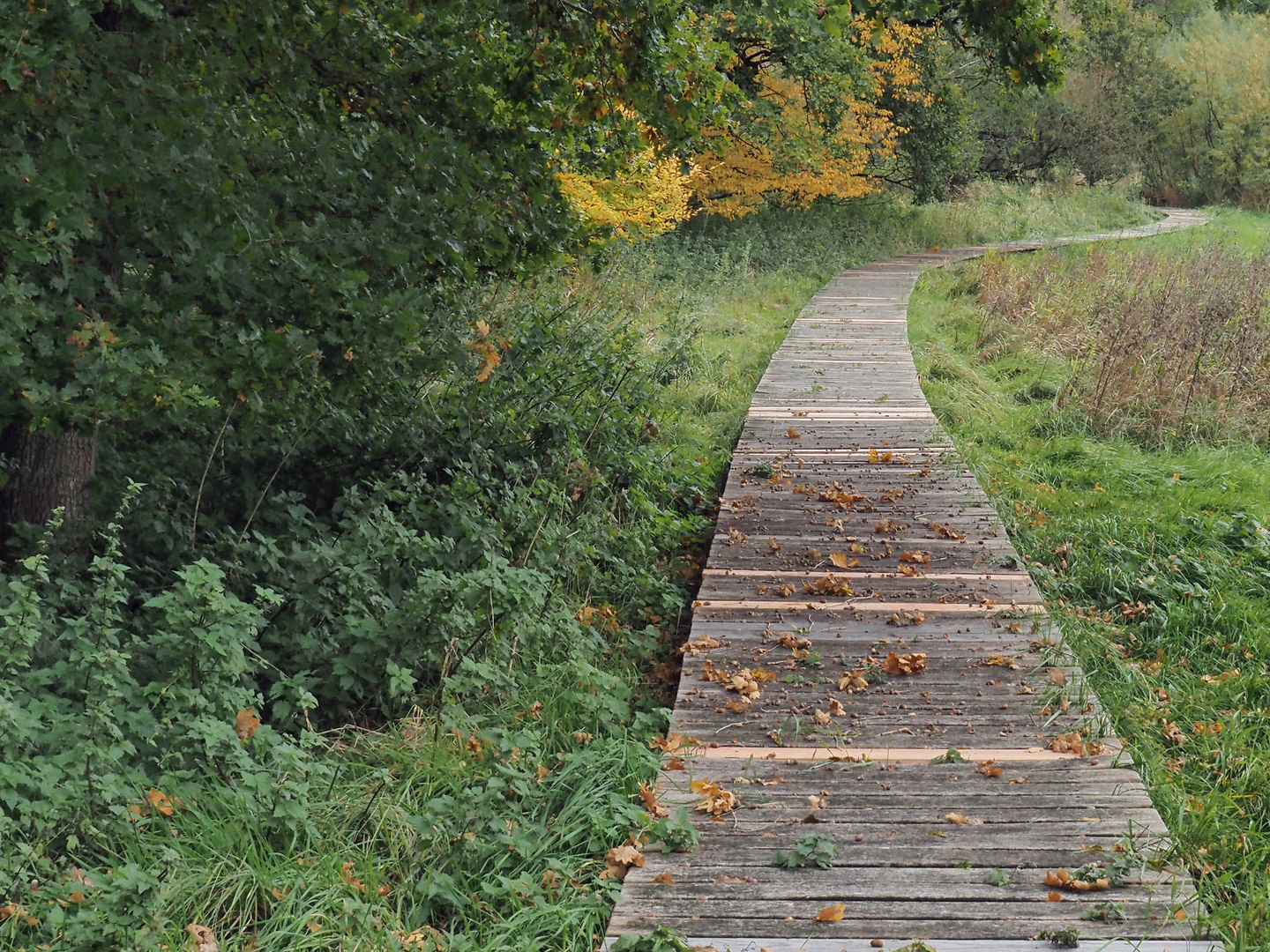 der Weg ist das Ziel