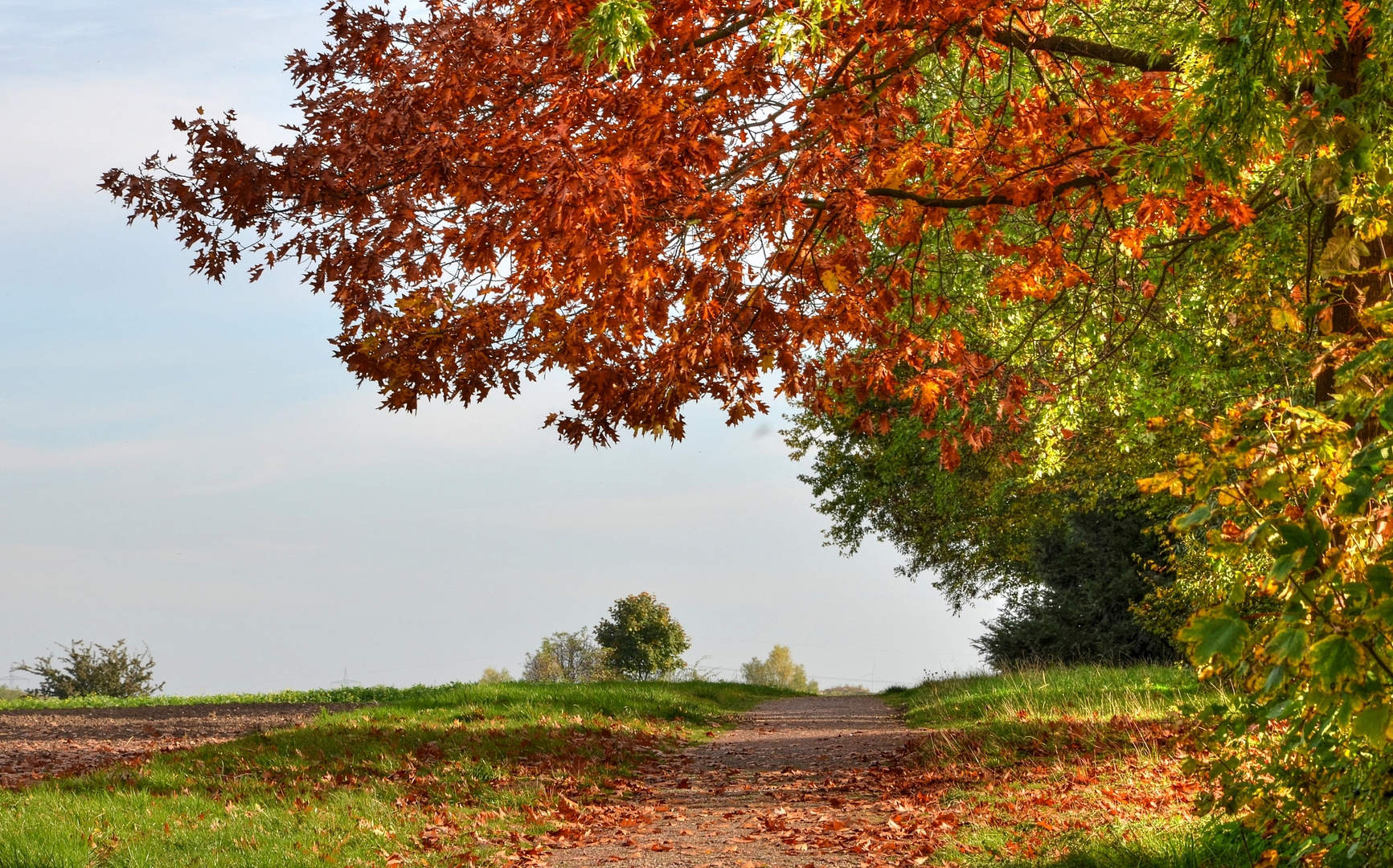 Der Weg ist das Ziel