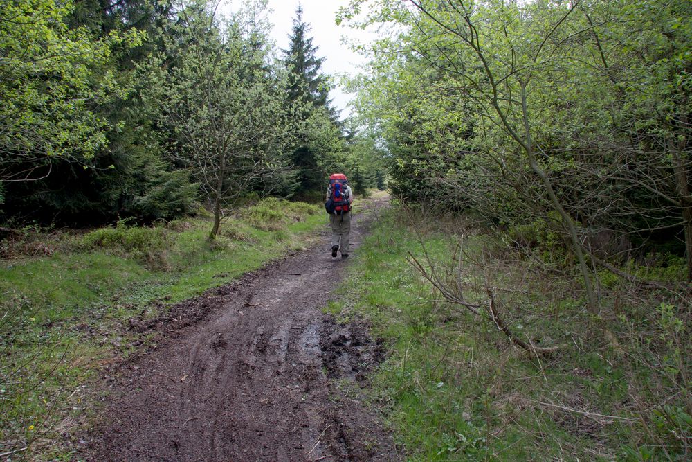 Der Weg ist das Ziel