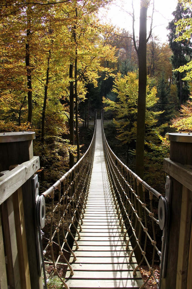 der weg ist das ziel......