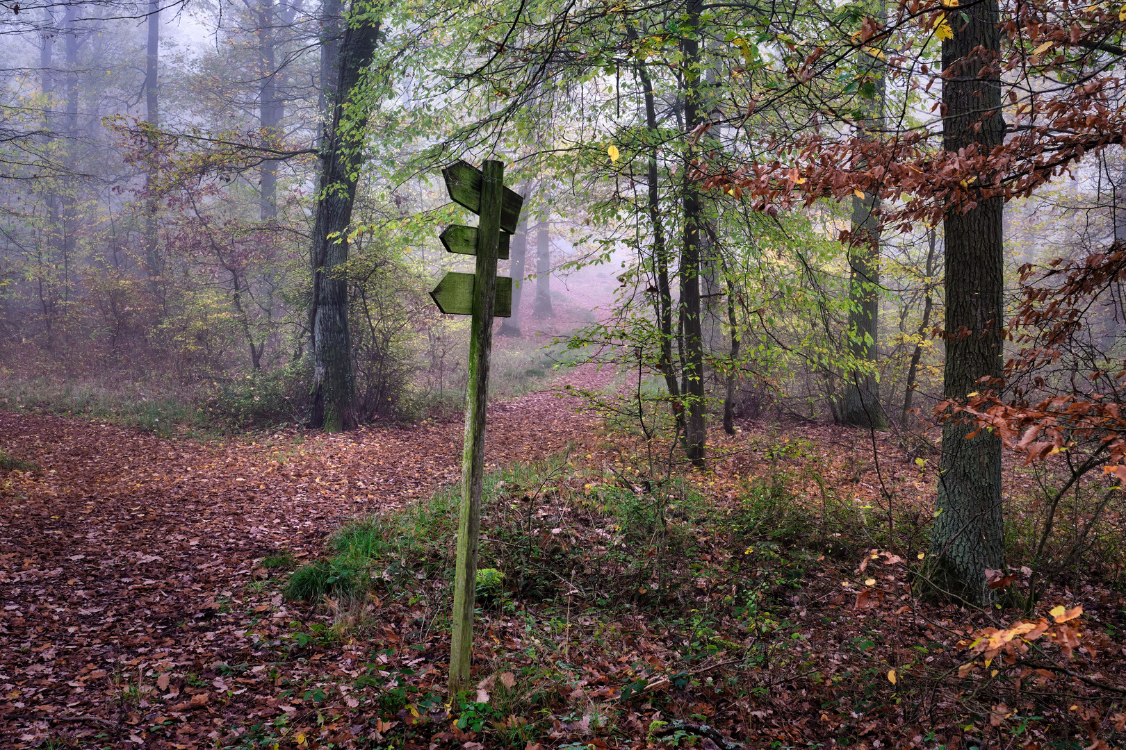 "Der Weg ist das Ziel"