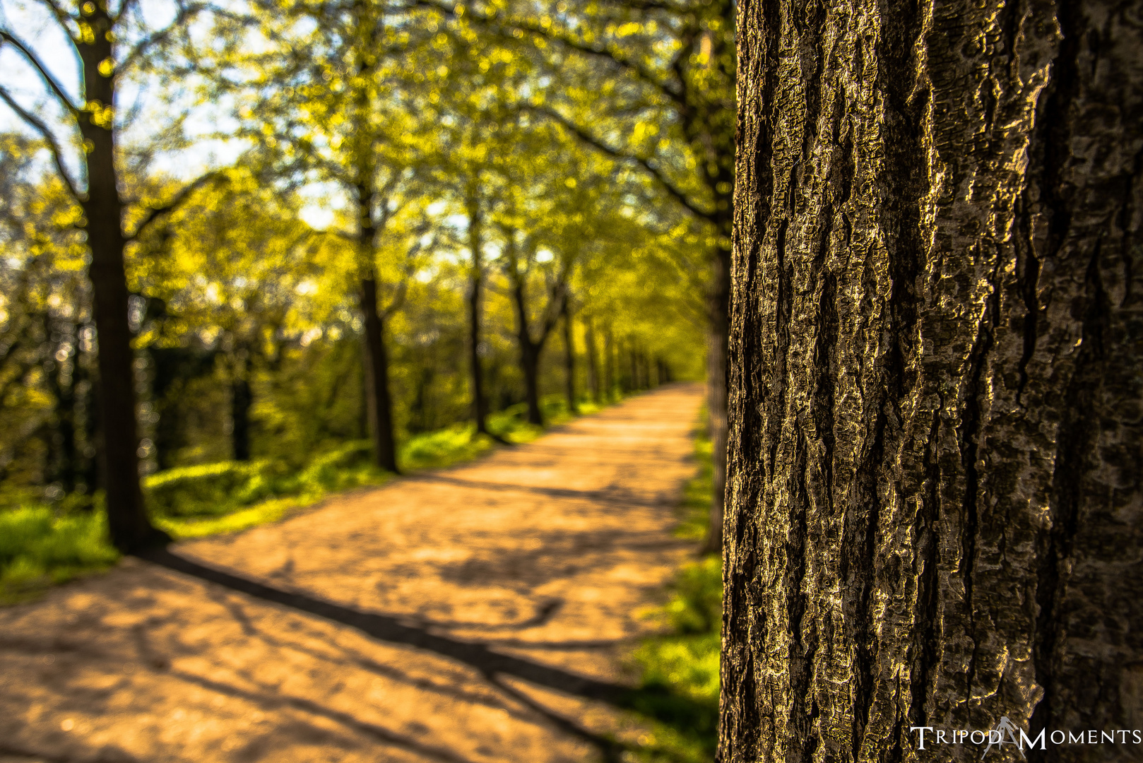 Der Weg ist das Ziel